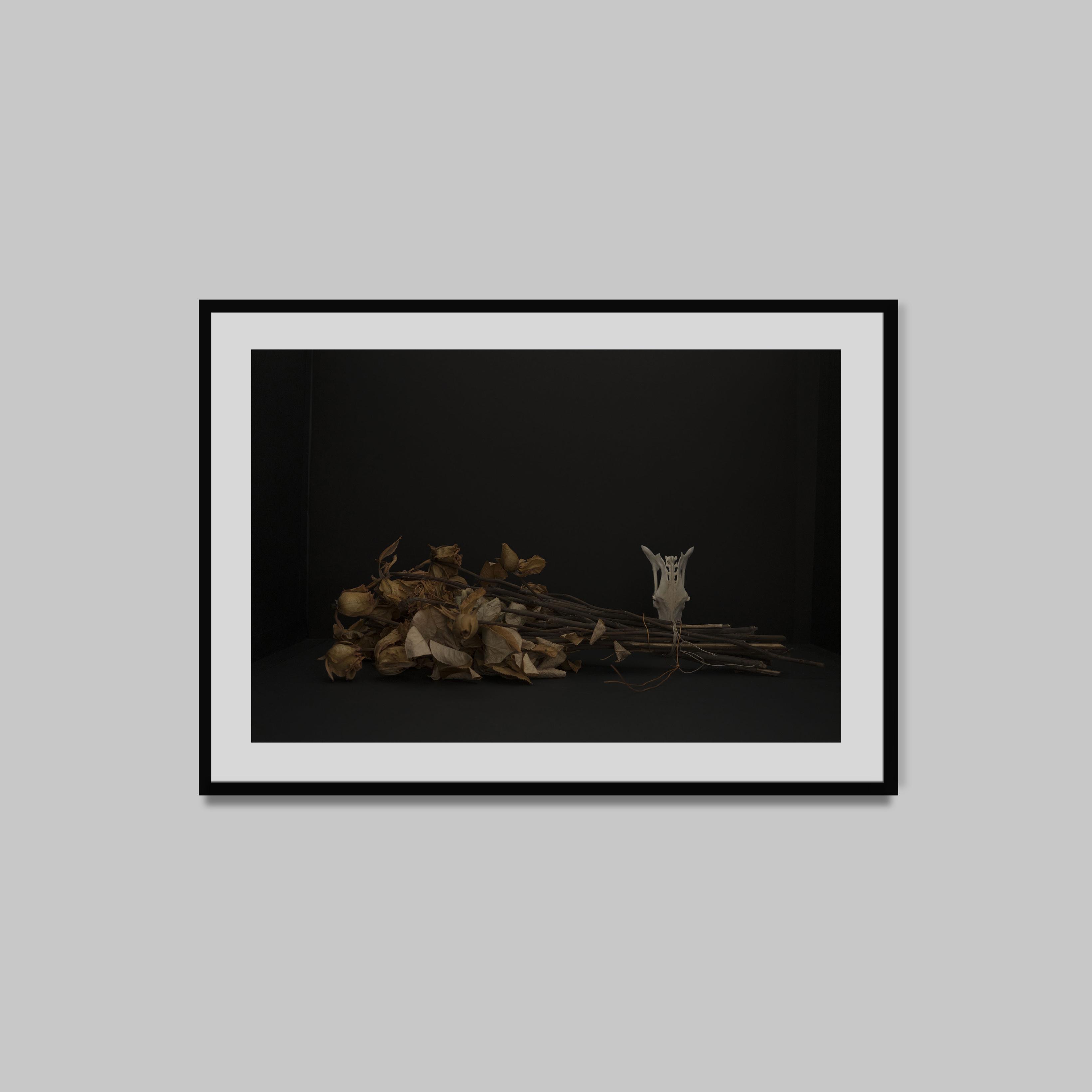 Vanités I, 2015
Photographie-tirage fine art
60 x 90 cm